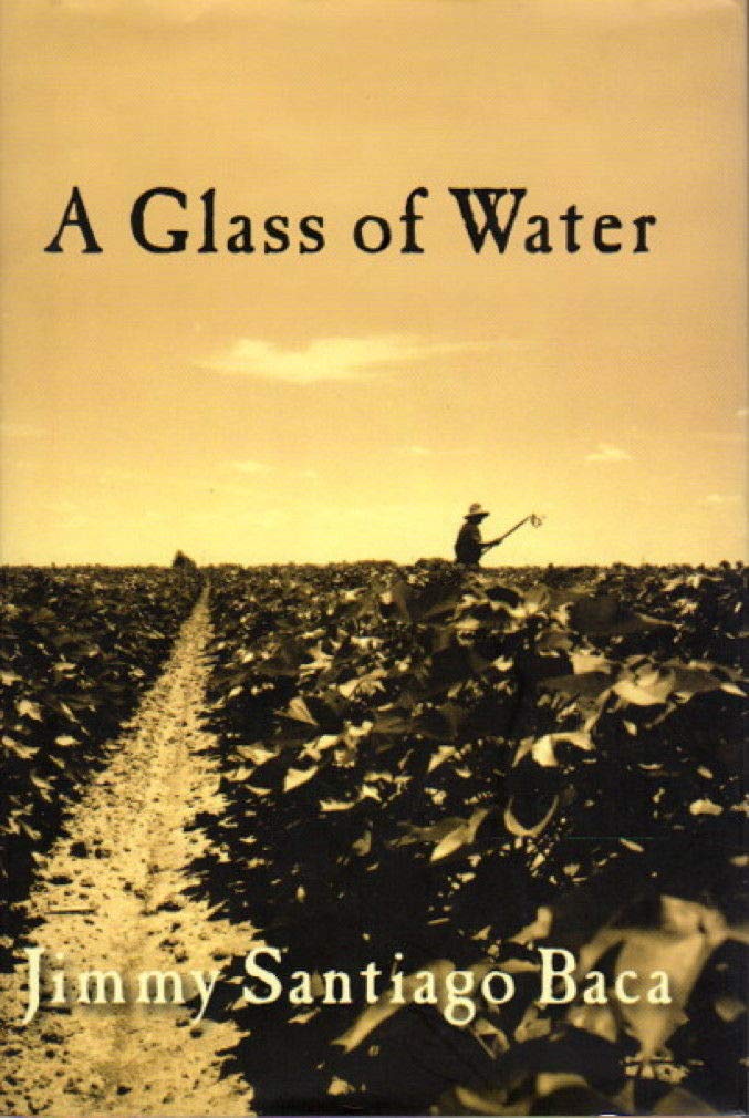 Glass of Water book cover