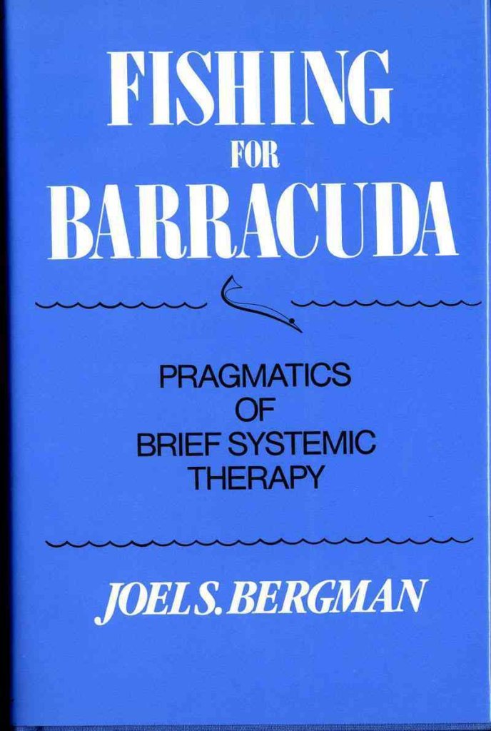 Fishing for Barracuda: Pragmatics of Brief Systemic Theory book cover