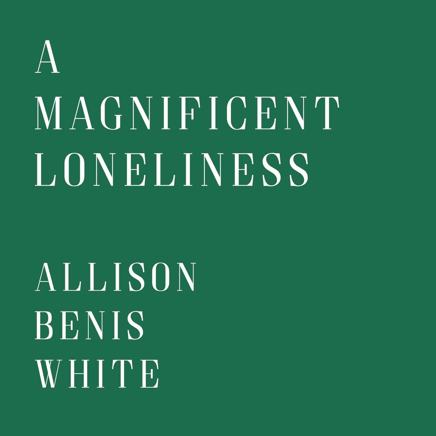 A Magnificent Loneliness book cover