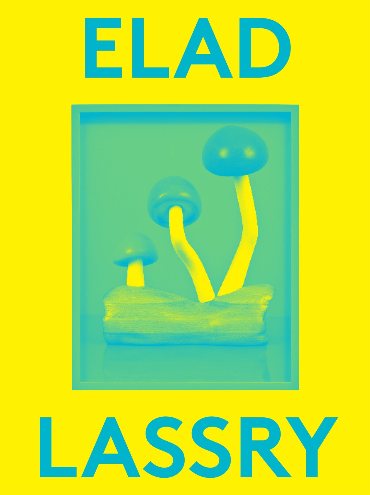 Elad Lassry: 2000 Words book cover