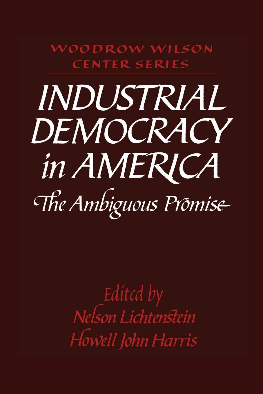 Industrial Democracy in America: The Ambiguous Promise (Revised) book cover