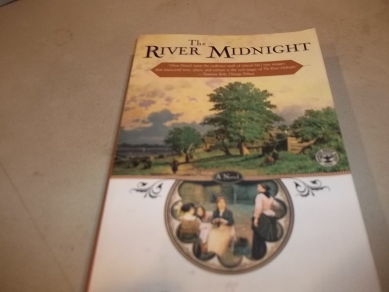 Music Lesson book cover