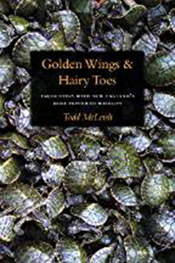 Golden Wings and Hairy Toes: Encounters with New England's Most Imperiled Wildlife book cover