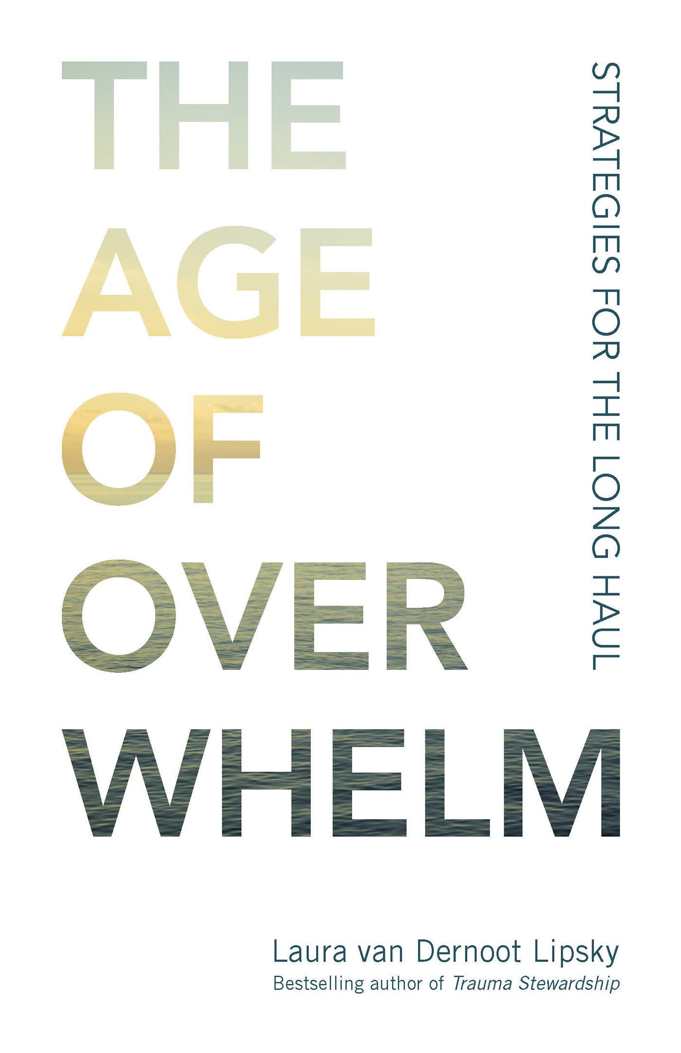 Age of Overwhelm: Strategies for the Long Haul book cover