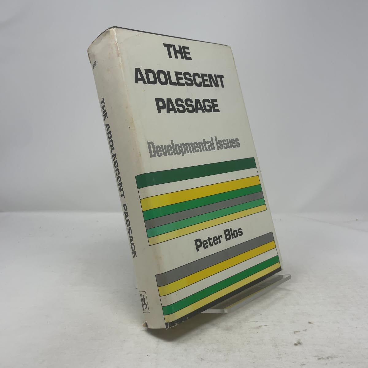 Adolescent Passage: Developmental Issues book cover