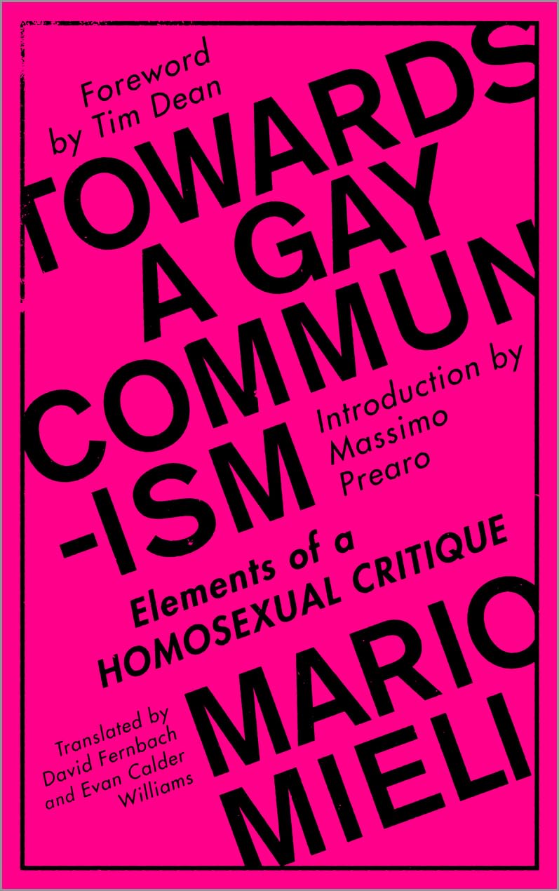 Towards a Gay Communism book cover