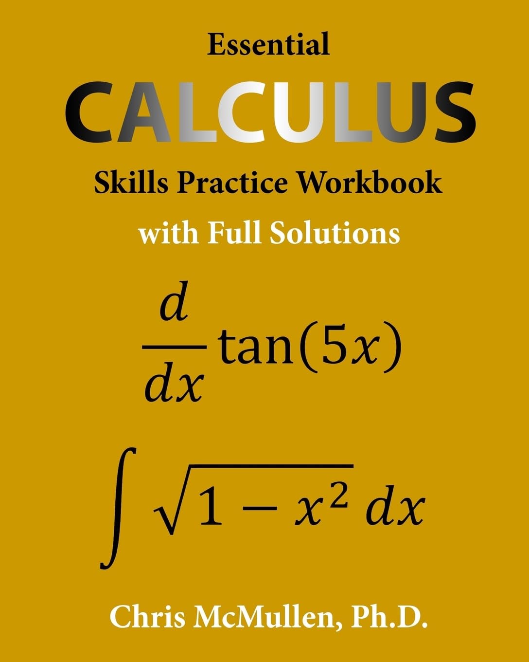 Essential Calculus Skills Practice Workbook with Full Solutions book cover