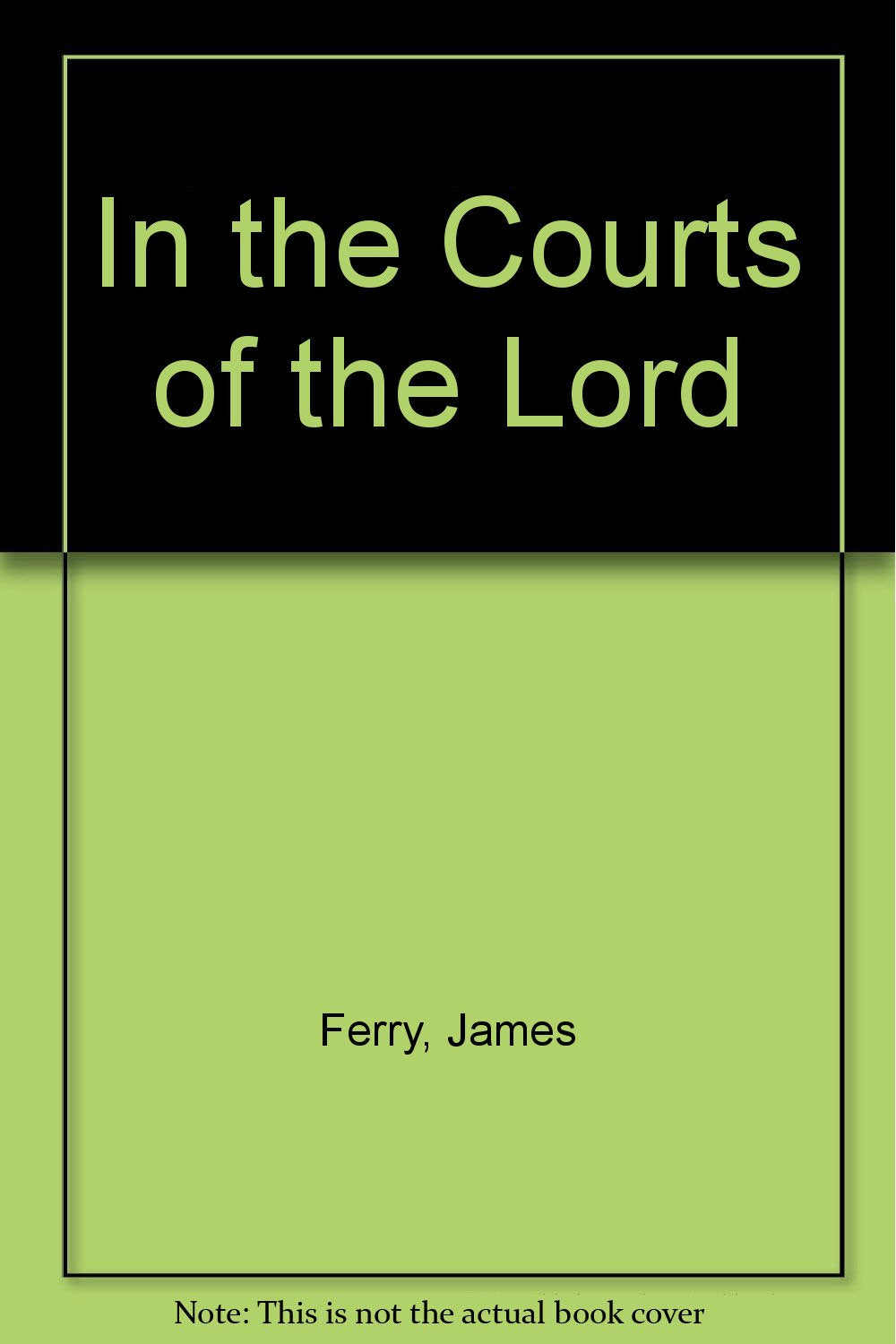 In the Courts of the Lord: A Gay Minister's Story book cover