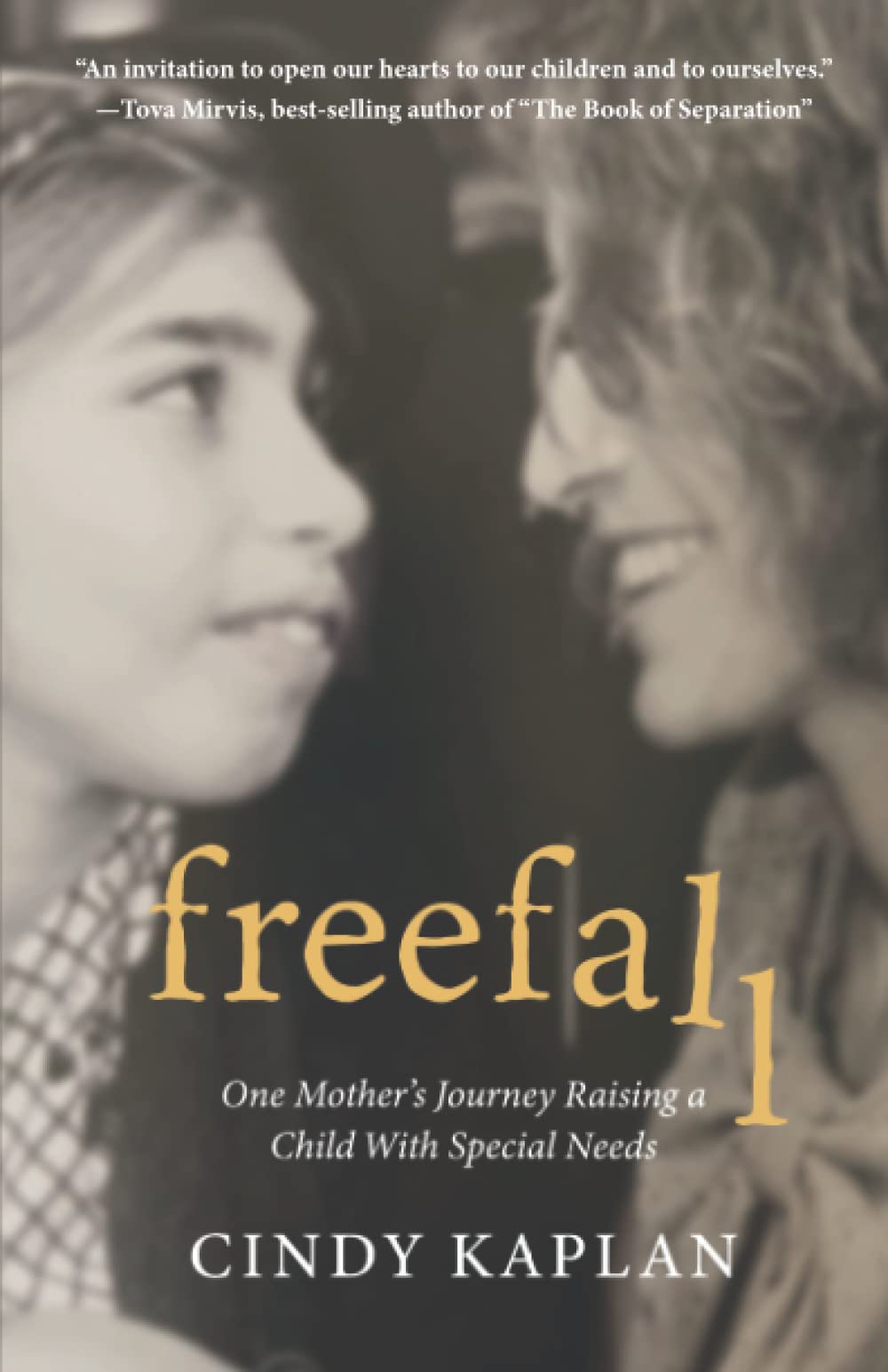 Freefall: One Mother's Journey Raising a Child With Special Needs book cover