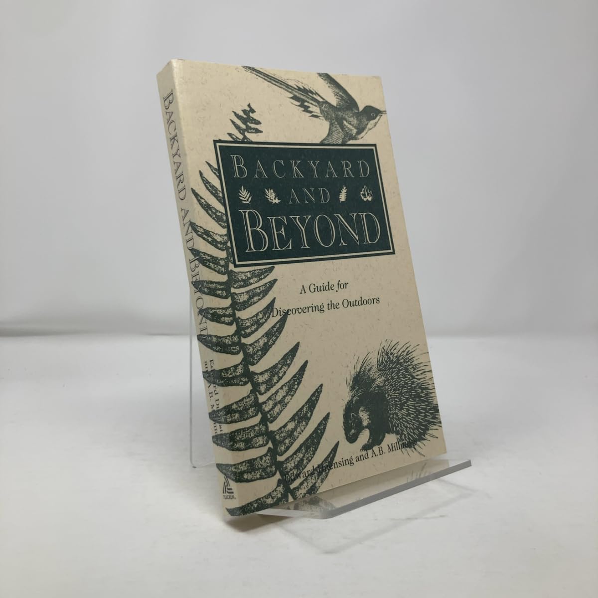 Backyard and Beyond: A Guide for Discovering the Outdoors book cover