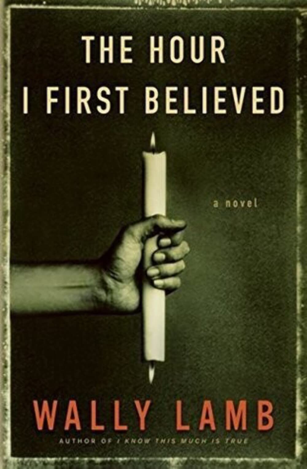Hour I First Believed book cover