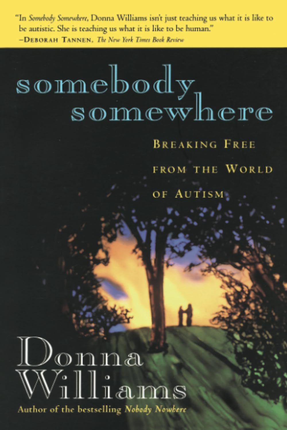 Somebody Somewhere: Breaking Free from the World of Autism book cover