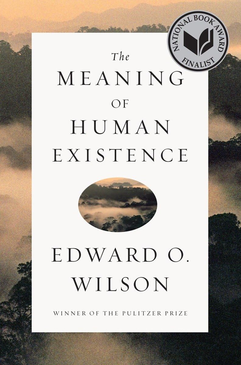 Meaning of Human Existence book cover