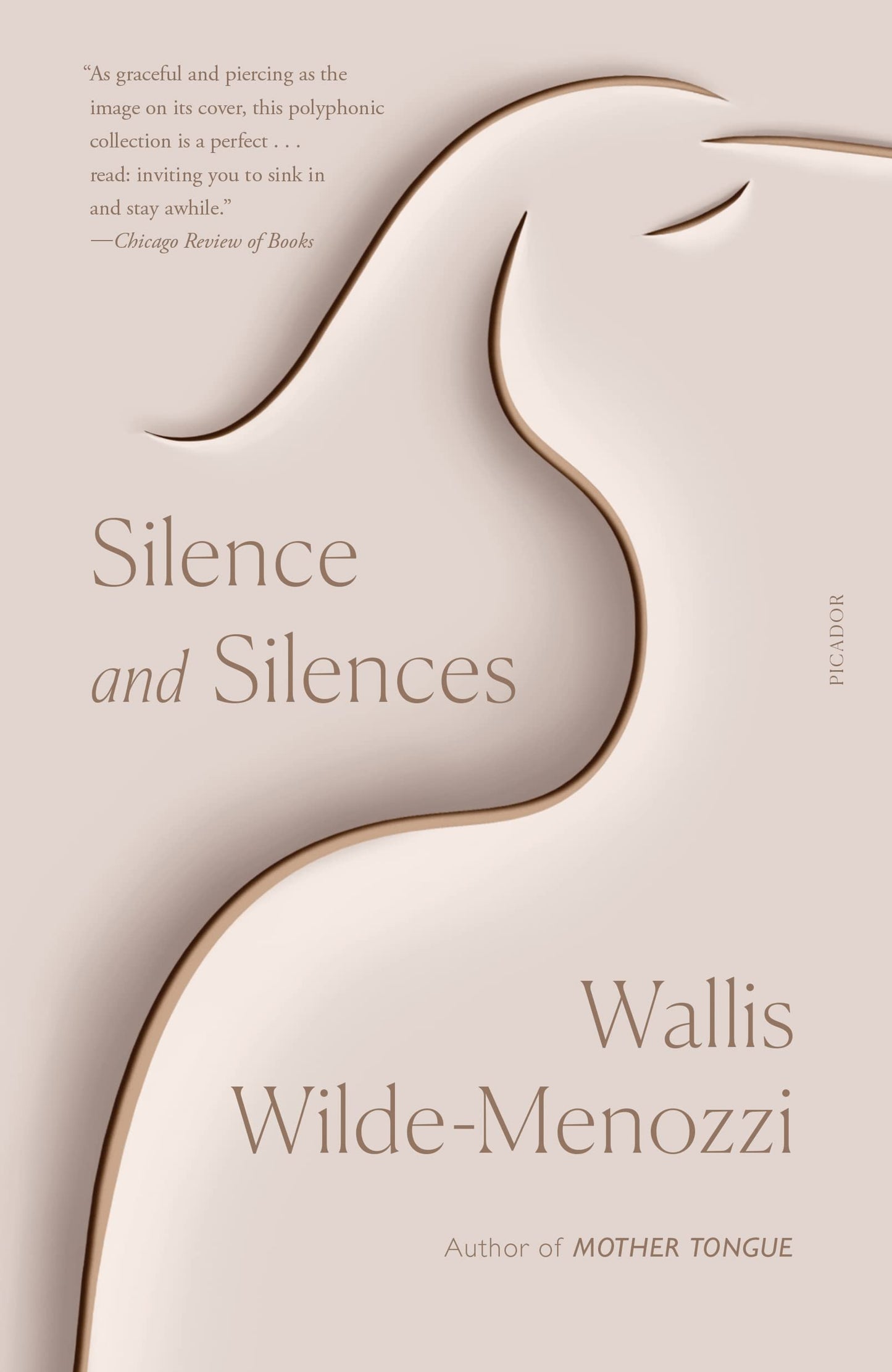 Silence and Silences book cover