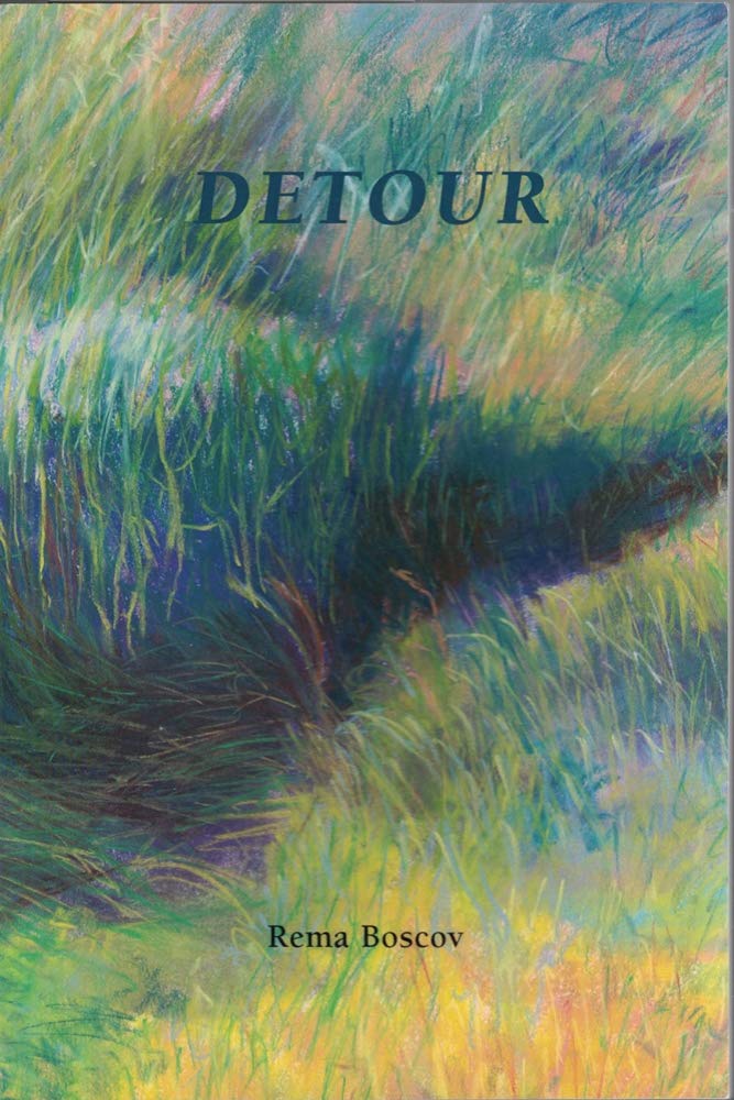 Detour book cover