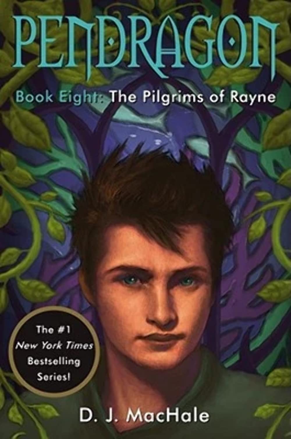 Pilgrims of Rayne: Volume 8 book cover
