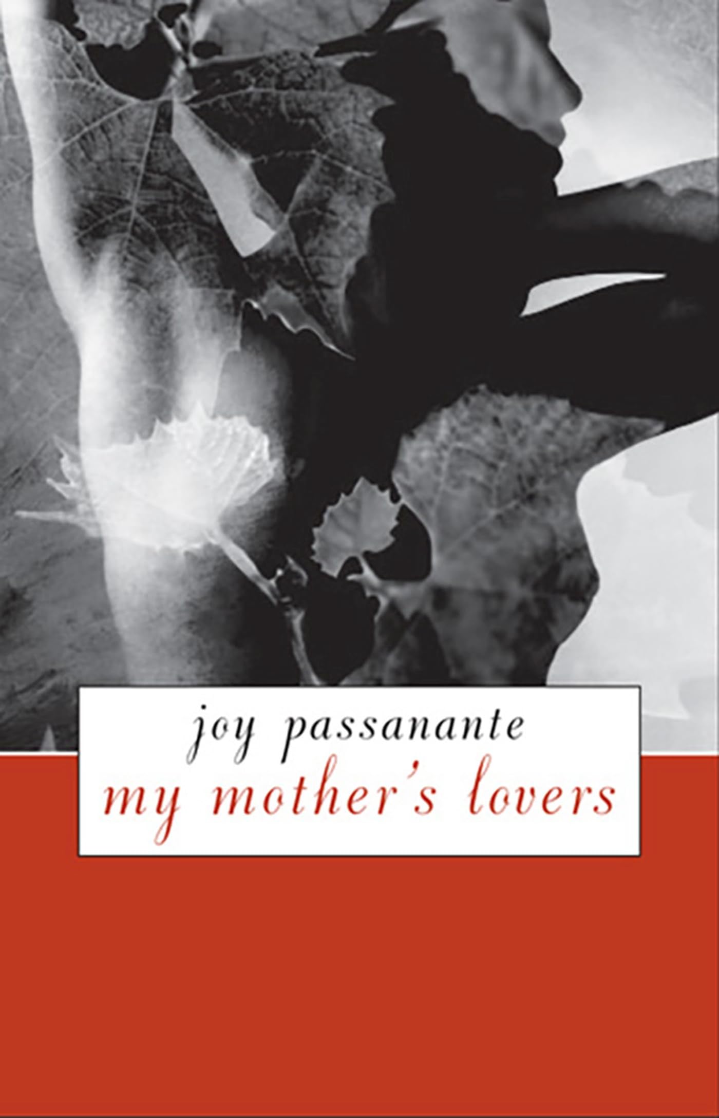 My Mother's Lovers book cover