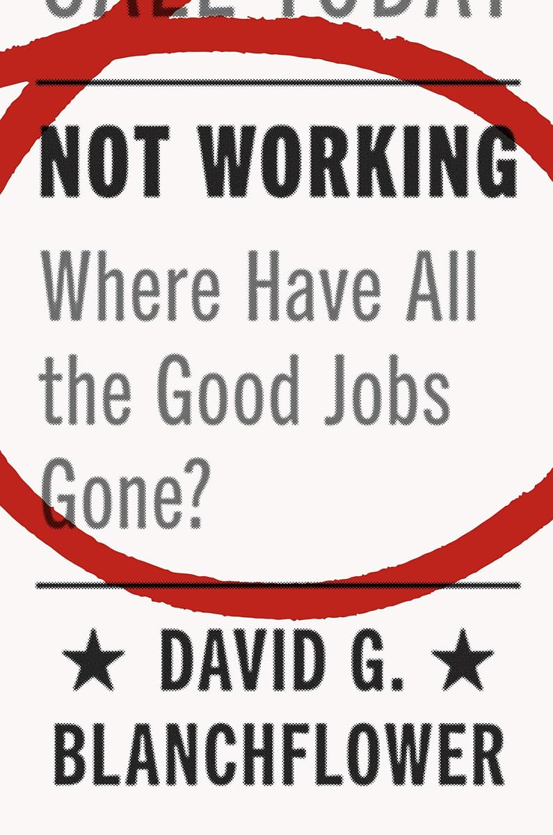 Not Working: Where Have All the Good Jobs Gone? book cover