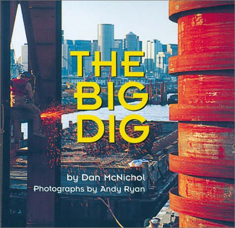 Big Dig book cover