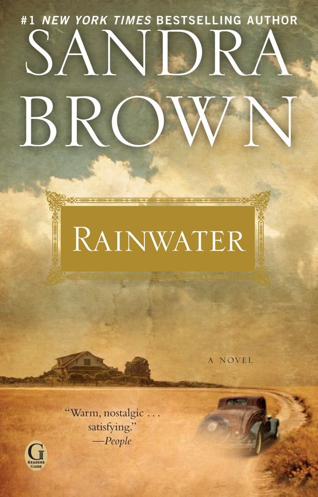 Rainwater book cover