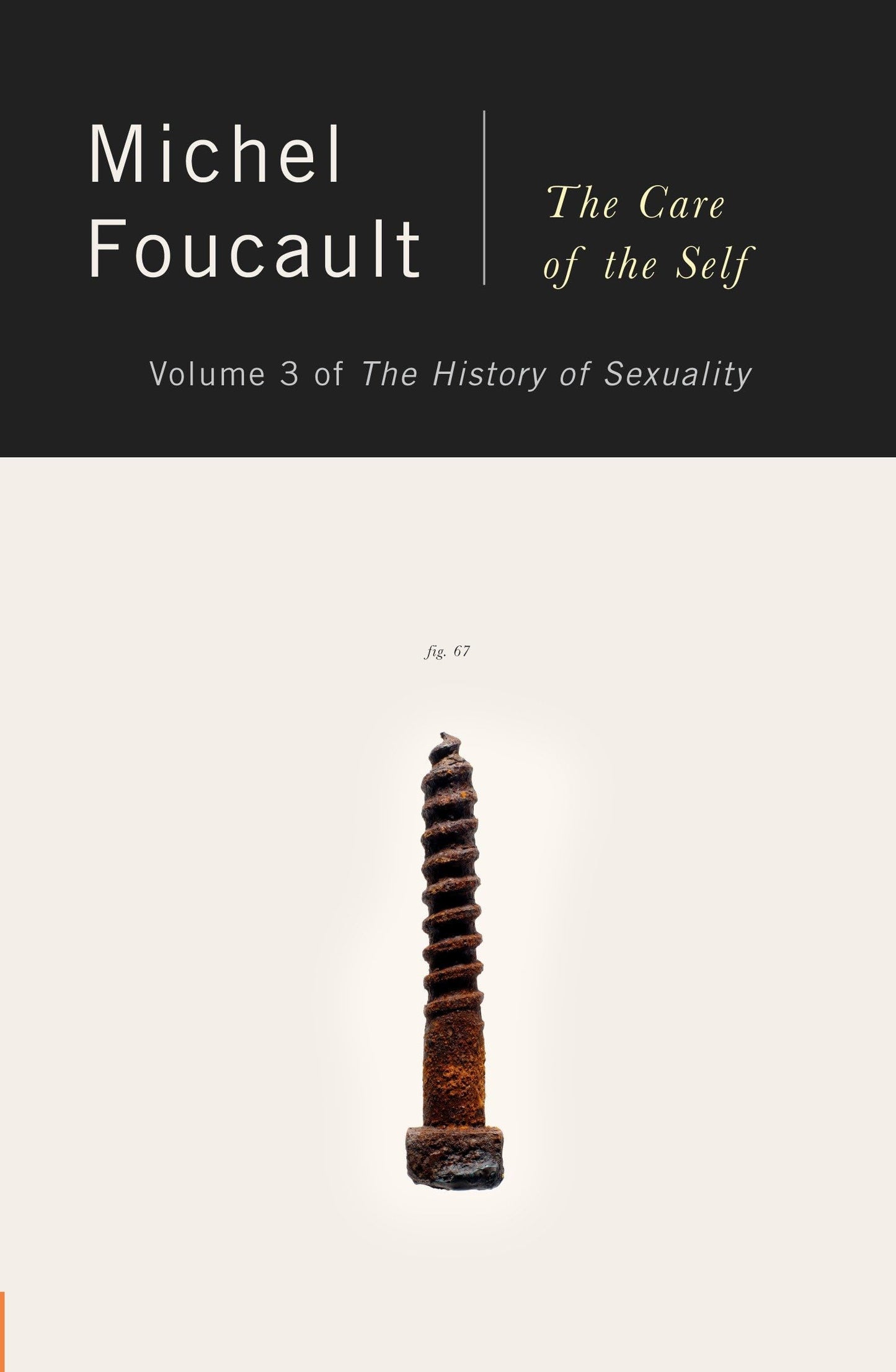 Care of the Self book cover