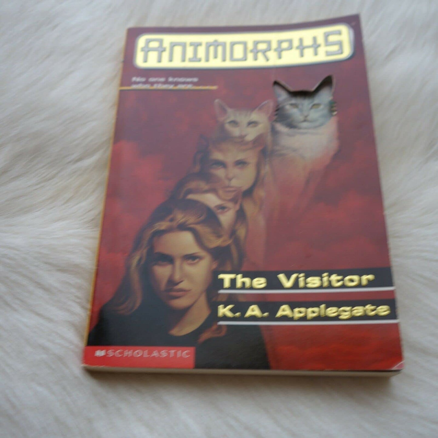Visitor book cover
