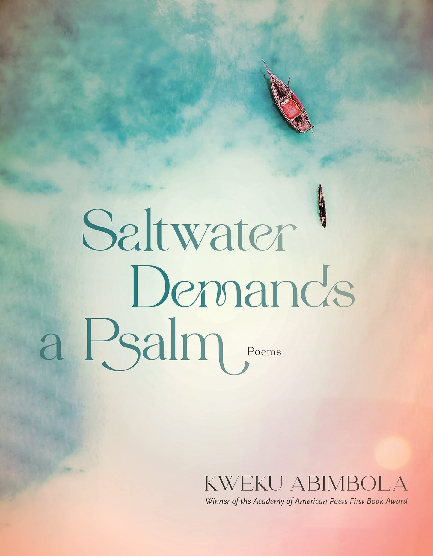Saltwater Demands a Psalm: Poems book cover
