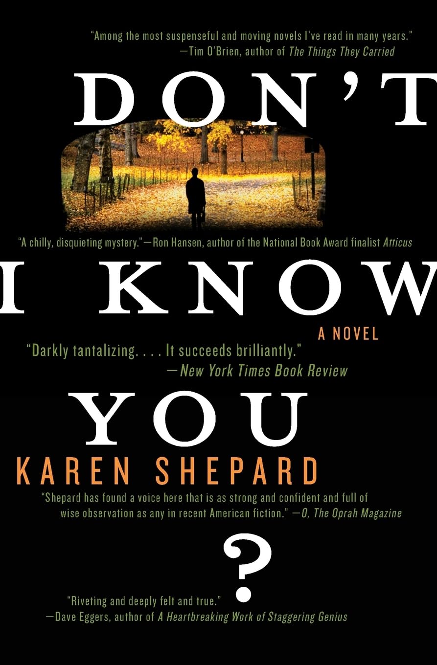 Don't I Know You? book cover