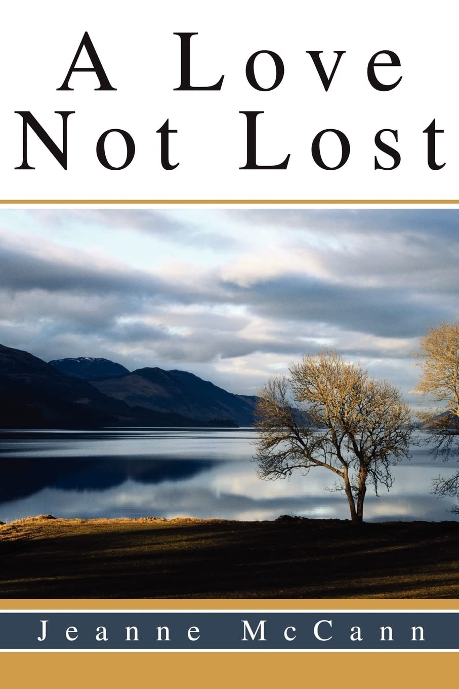 Love Not Lost book cover