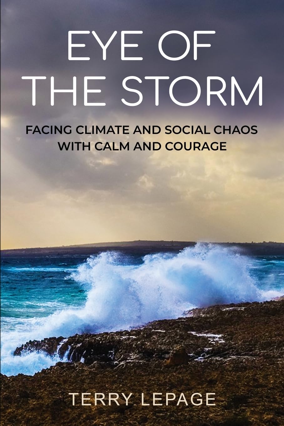 Eye of the Storm: Facing climate and social chaos with calm and courage book cover