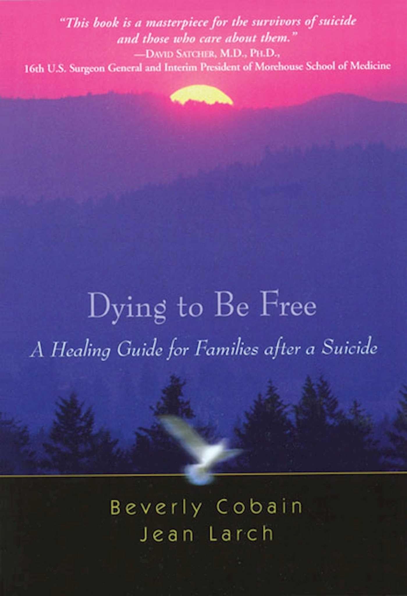 Dying to Be Free: A Healing Guide for Families After a Suicide book cover