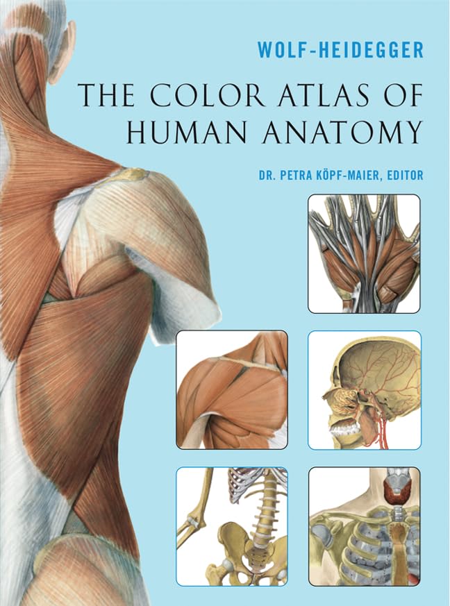 Color Atlas of Human Anatomy