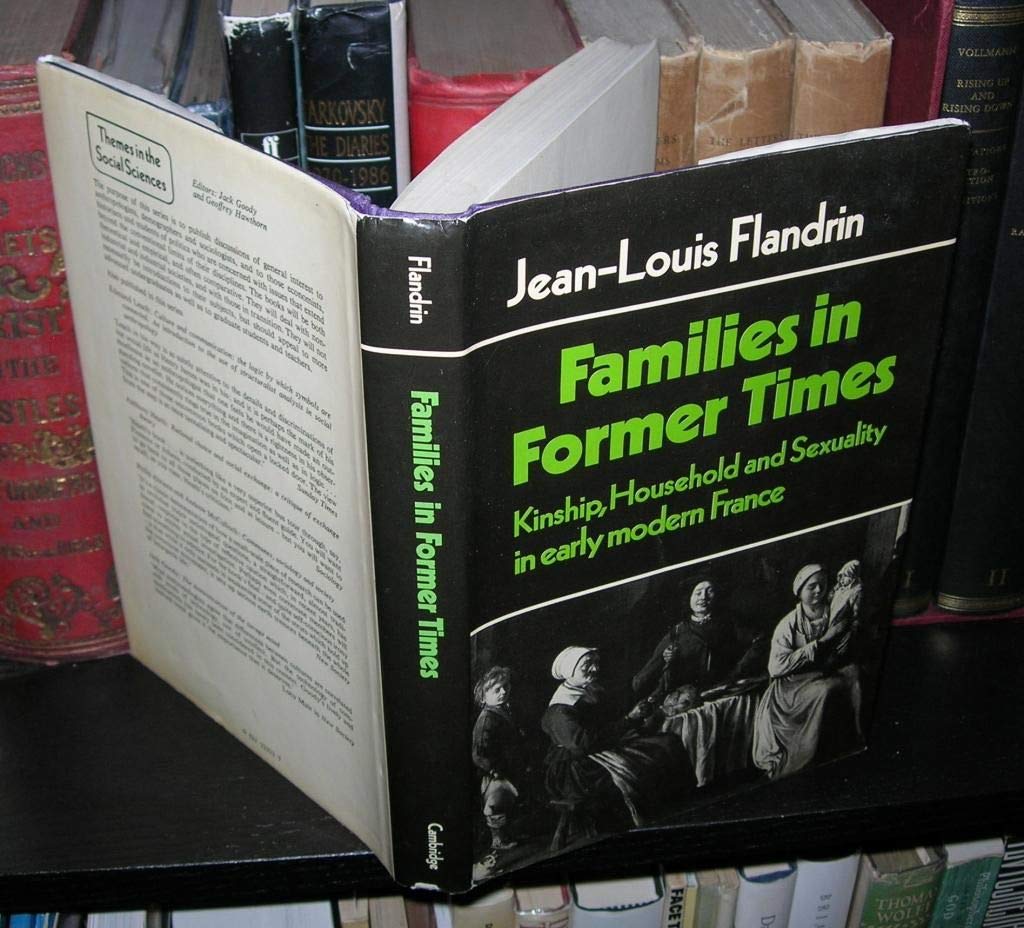 Families in Former Times: Kinship, Household and Sexuality in Early Modern France (Themes in the Social Sciences) book cover