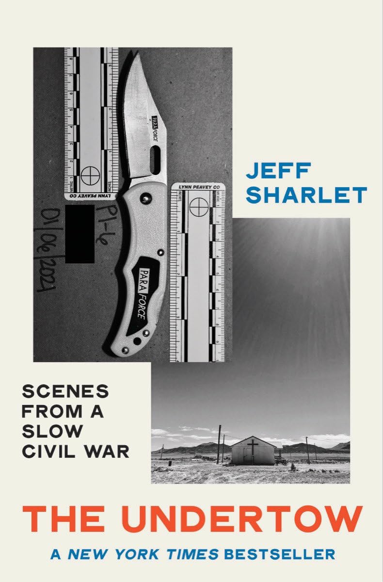 Undertow: Scenes from a Slow Civil War book cover