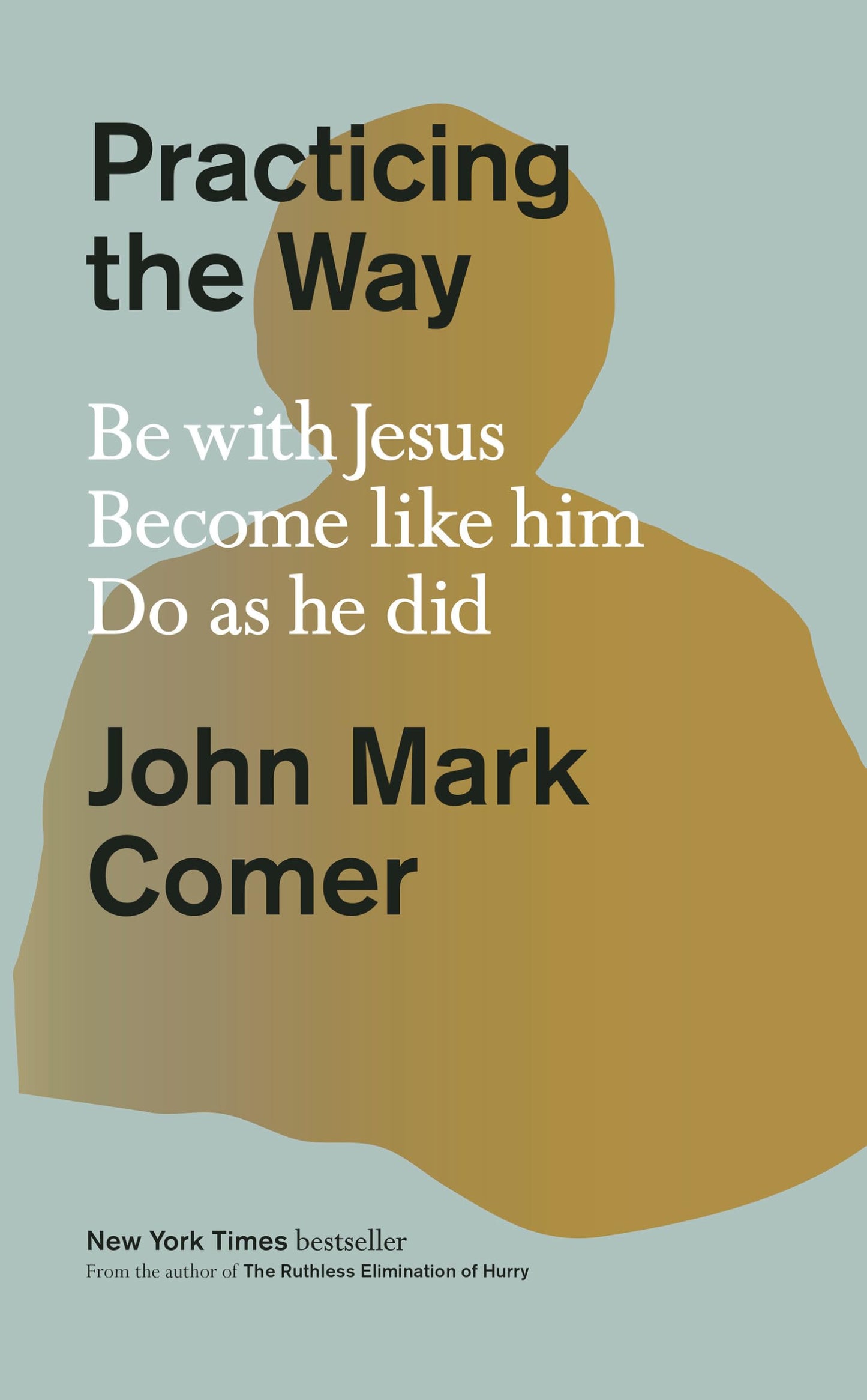 Practicing the Way: Be with Jesus. Become Like Him. Do as He Did. book cover