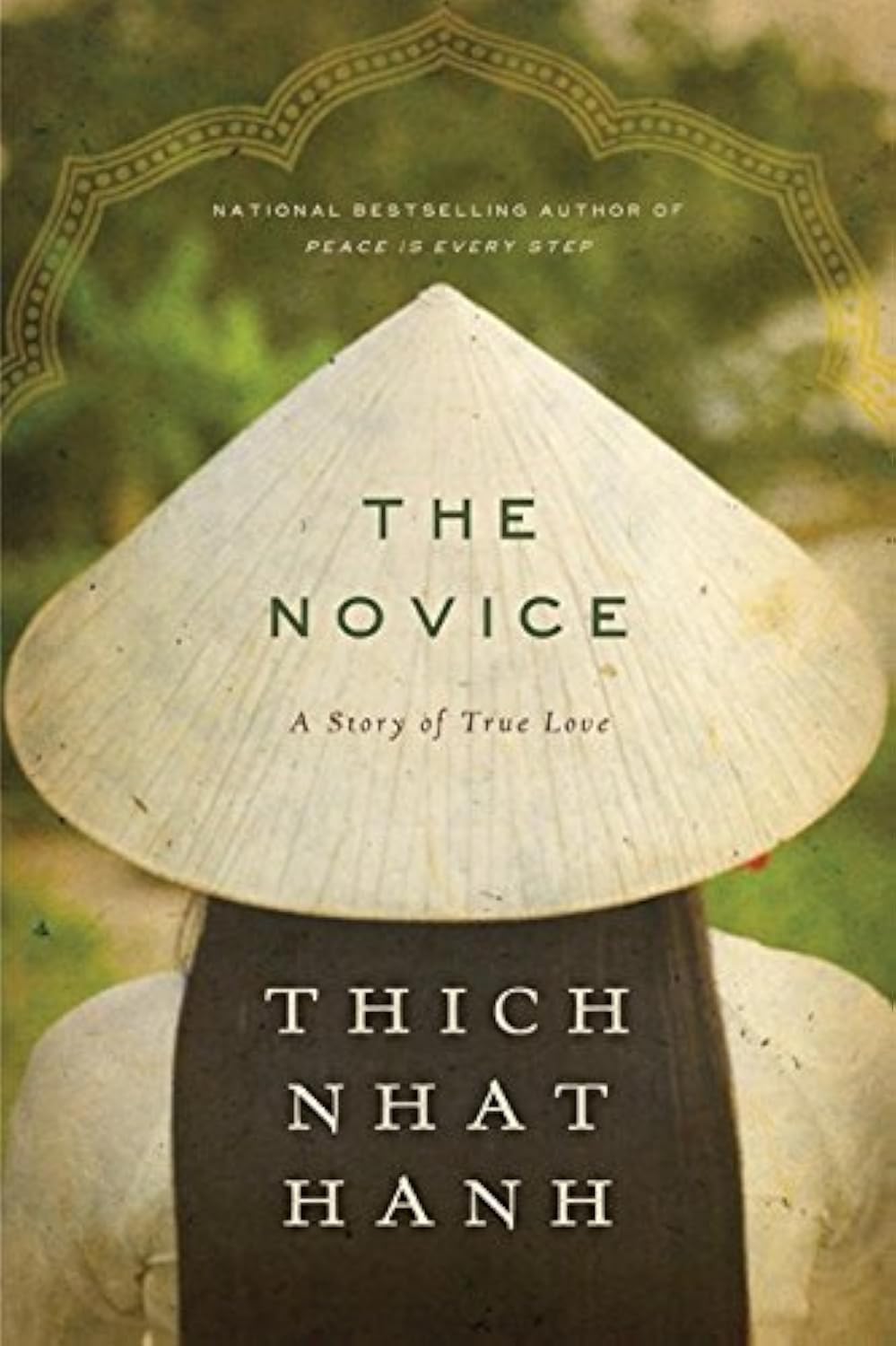 Novice: A Story of True Love book cover