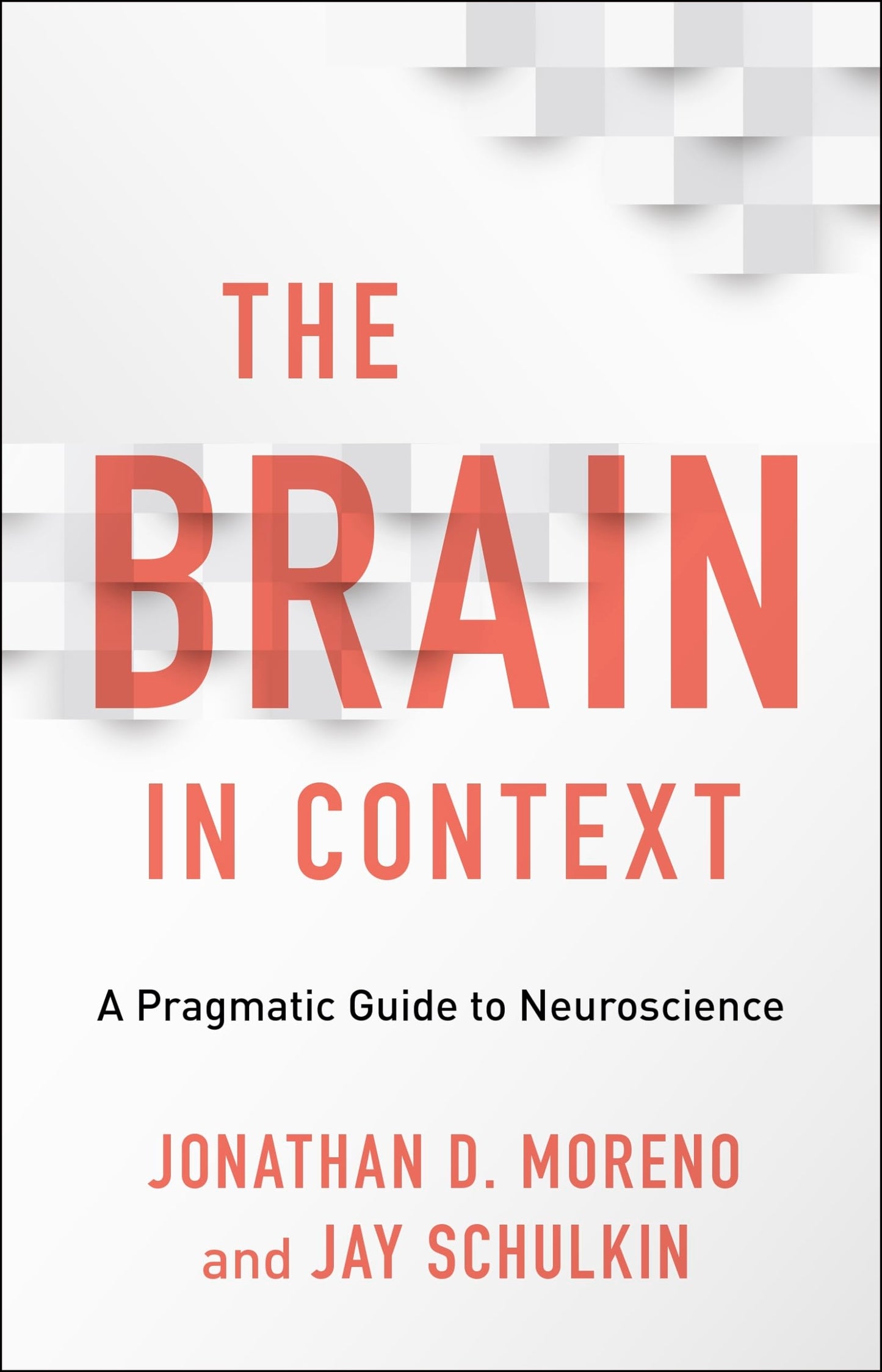 Brain in Context: A Pragmatic Guide to Neuroscience book cover