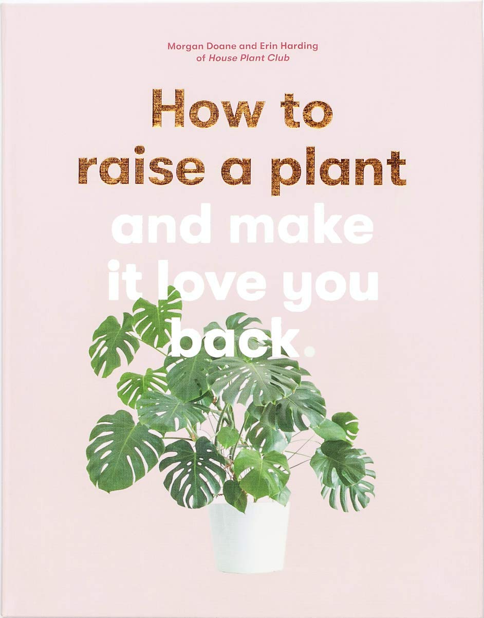 How to Raise a Plant: And Make It Love You Back (a Modern Gardening Book for a New Generation of Indoor Gardeners) book cover