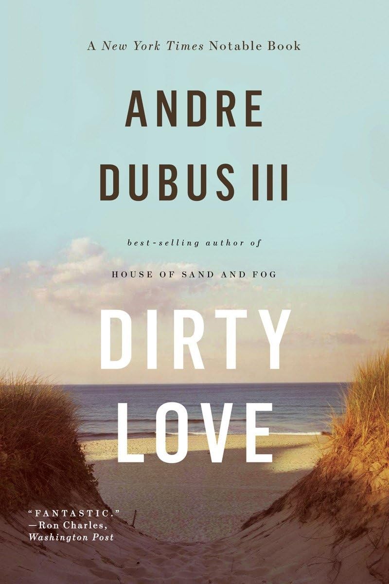 Dirty Love book cover