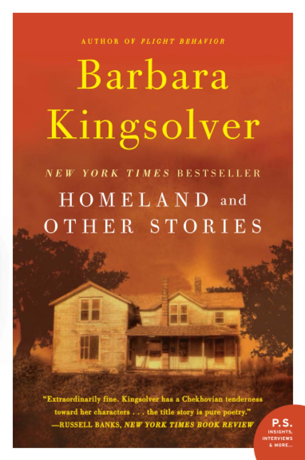 Homeland book cover