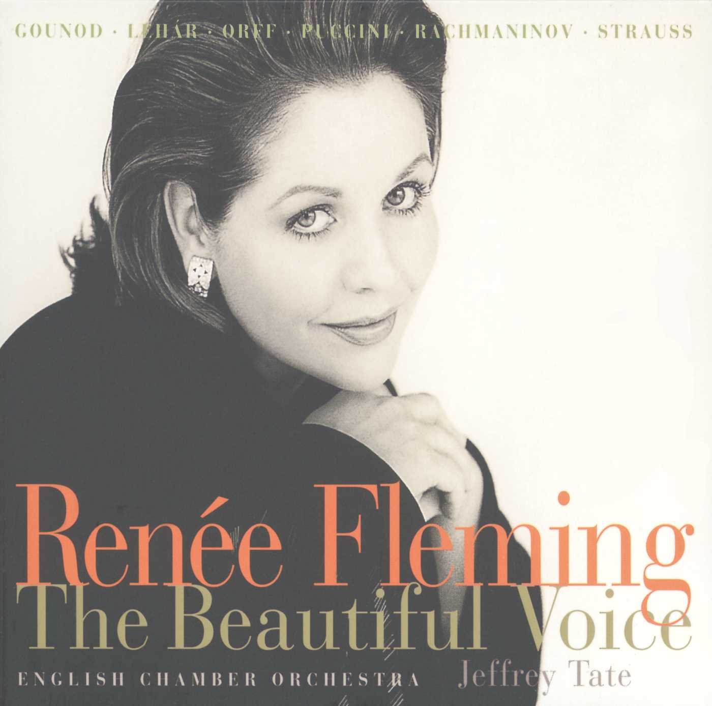 Beautiful Voice book cover