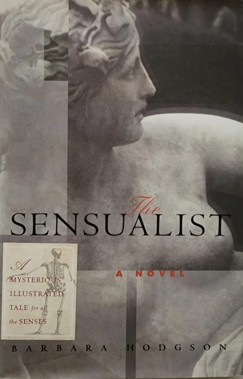 The Sensualist: A Novel book cover
