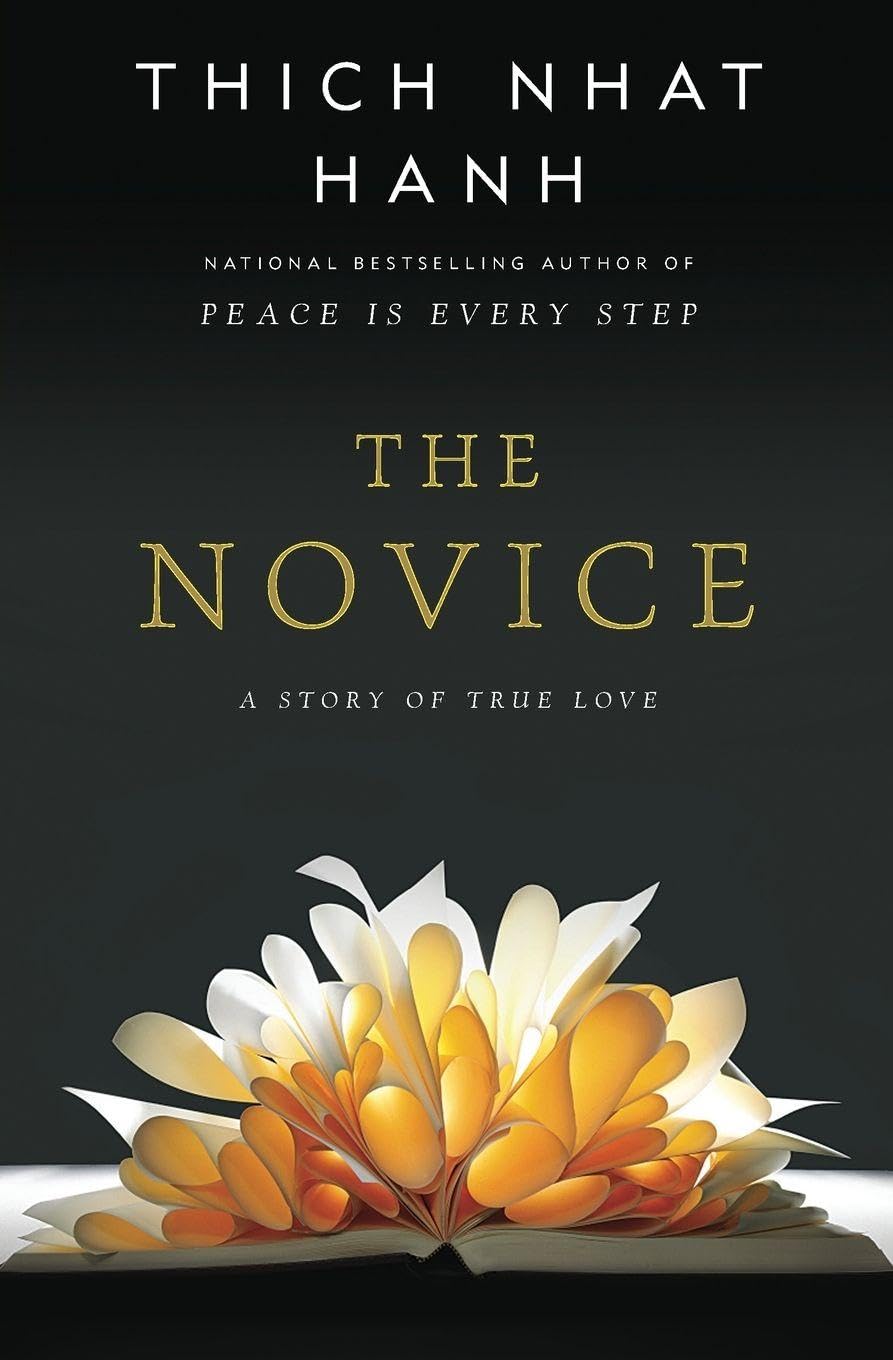 Novice book cover
