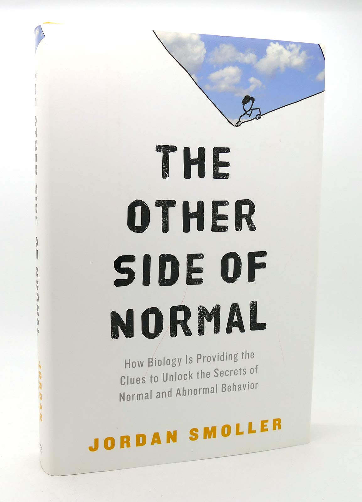 Other Side of Normal: How Biology Is Providing the Clues to Unlock the Secrets of Normal and Abnormal Behavior book cover