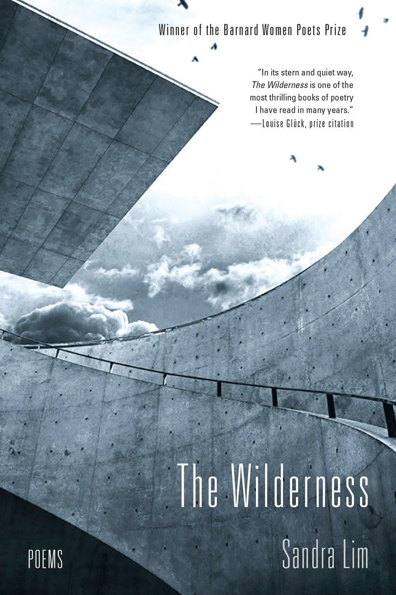 Wilderness book cover