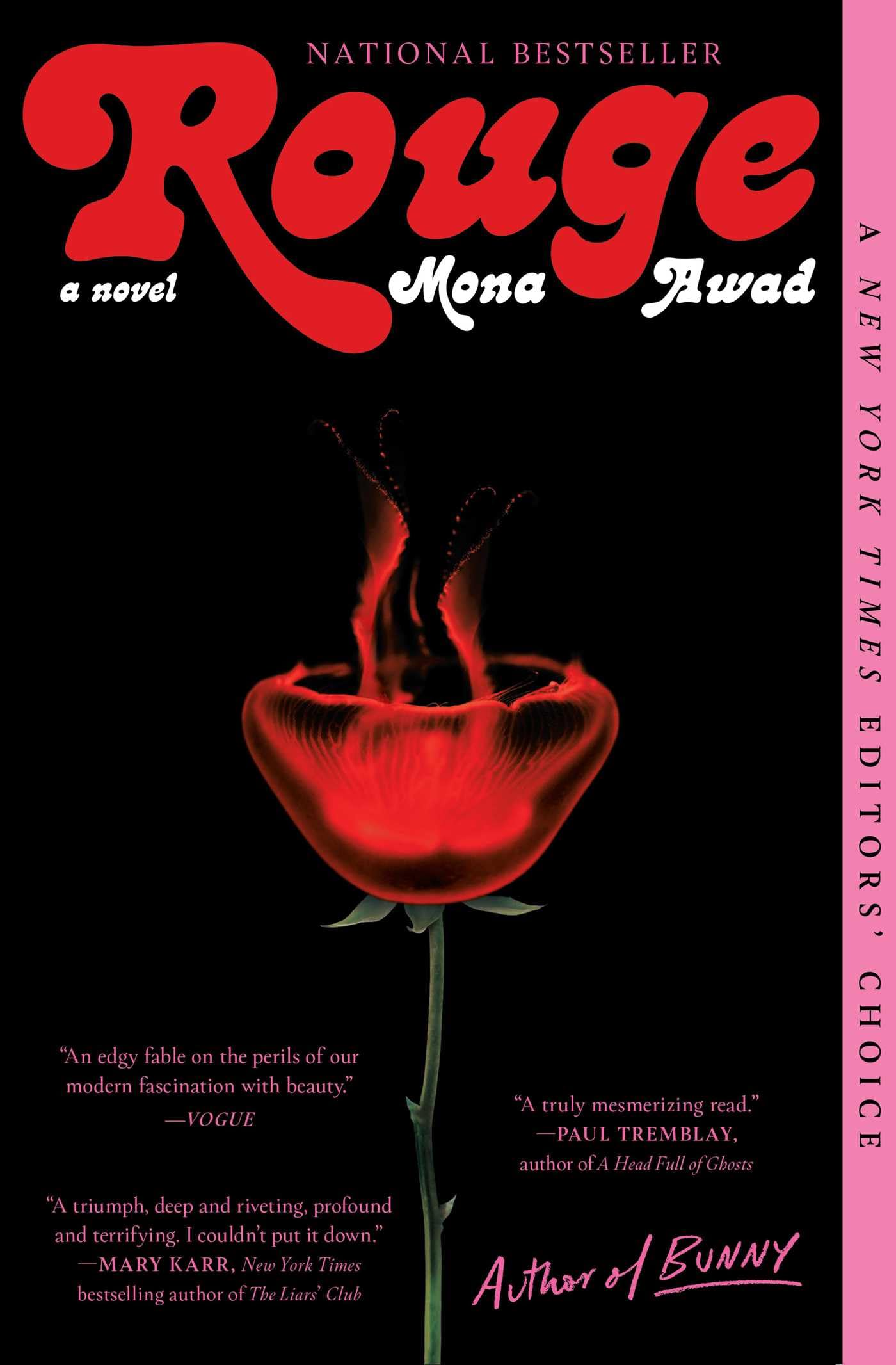 Rouge book cover