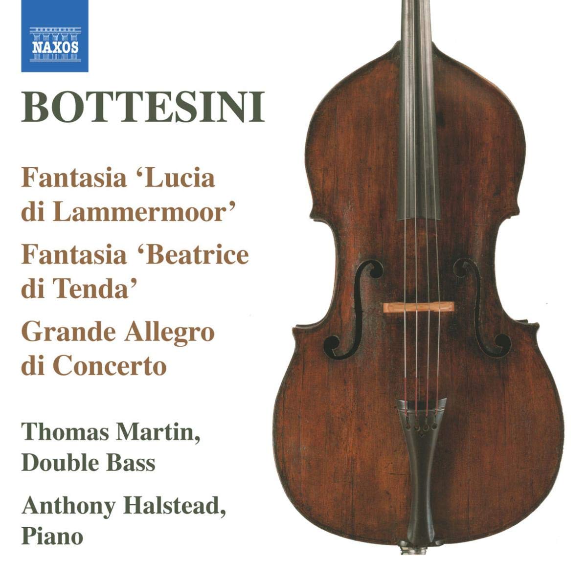 Fantasia Lucia Di Lammermoor Fantasia book cover