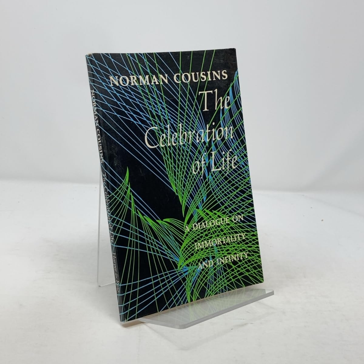 Celebration of Life: A Dialogue on Immortality and Infinity book cover