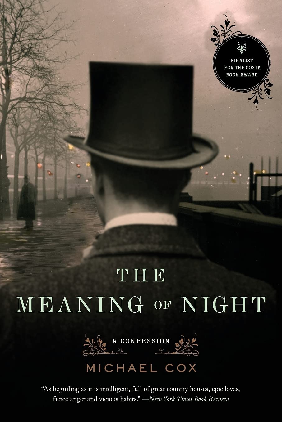 Meaning of Night: A Confession book cover
