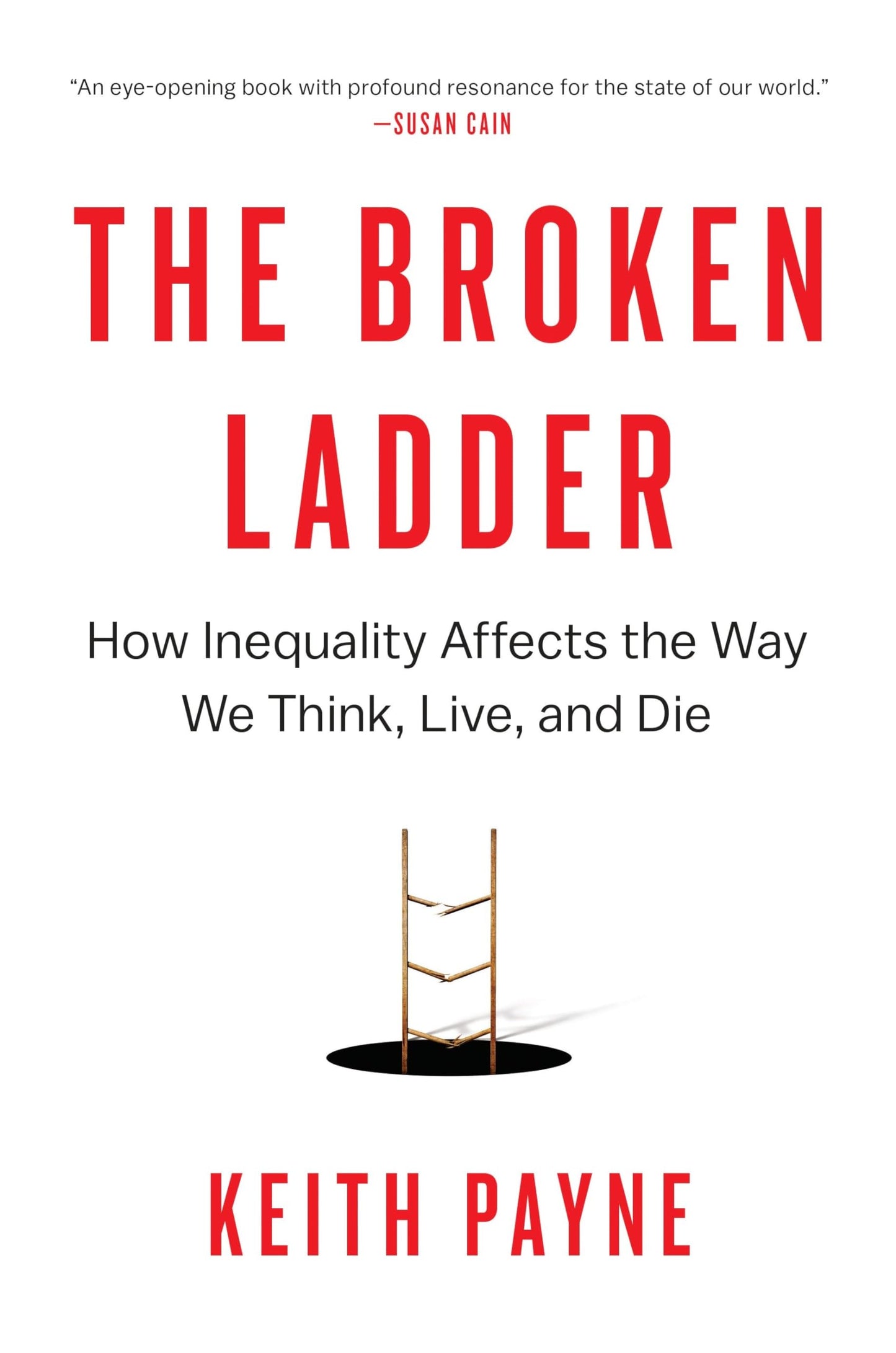 Broken Ladder: How Inequality Affects the Way We Think, Live, and Die book cover